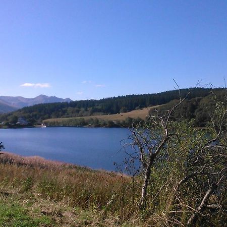 Iris, Gite Saint Antoine, Orcival, Entre Sancy Et Volcans D'Auvergne Zewnętrze zdjęcie